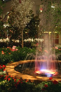 Philadelphia International Flower Show fountain 2011